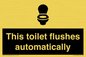 IV12128: This toilet flushes automatically