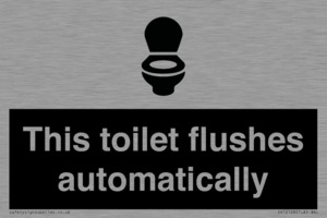 IV12128: This toilet flushes automatically