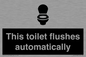 IV12128: This toilet flushes automatically