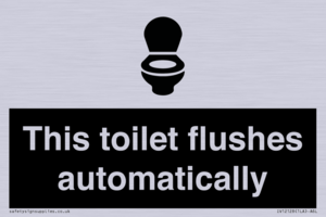 IV12128: This toilet flushes automatically