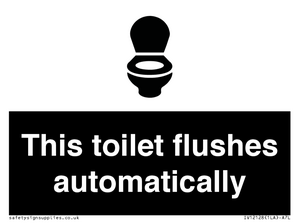 IV12128: This toilet flushes automatically