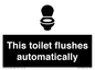 IV12128: This toilet flushes automatically