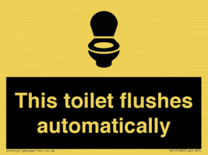 IV12128: This toilet flushes automatically