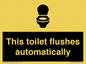 IV12128: This toilet flushes automatically