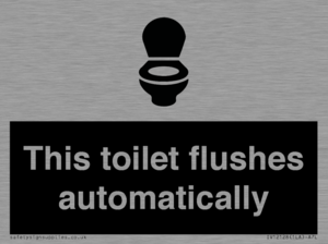 IV12128: This toilet flushes automatically