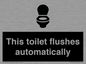 IV12128: This toilet flushes automatically