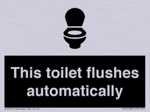 IV12128: This toilet flushes automatically