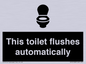 IV12128: This toilet flushes automatically