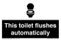 IV12128: This toilet flushes automatically