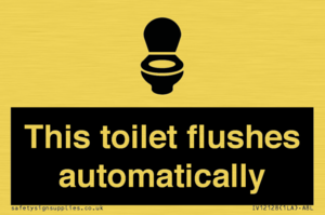 IV12128: This toilet flushes automatically