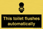 IV12128: This toilet flushes automatically