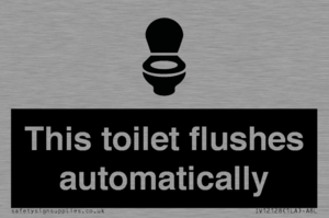 IV12128: This toilet flushes automatically