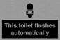 IV12128: This toilet flushes automatically