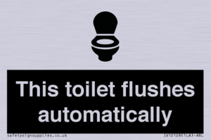 IV12128: This toilet flushes automatically