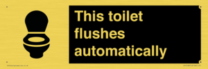 IV12128: This toilet flushes automatically