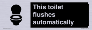 IV12128: This toilet flushes automatically