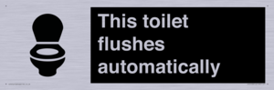 IV12128: This toilet flushes automatically