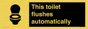 IV12128: This toilet flushes automatically