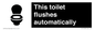 IV12128: This toilet flushes automatically