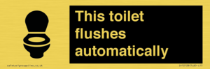IV12128: This toilet flushes automatically