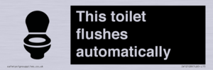 IV12128: This toilet flushes automatically