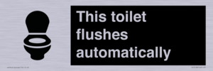 IV12128: This toilet flushes automatically