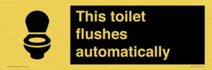 IV12128: This toilet flushes automatically