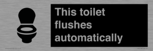 IV12128: This toilet flushes automatically