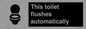 IV12128: This toilet flushes automatically