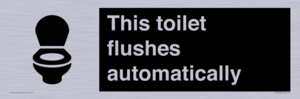 IV12128: This toilet flushes automatically