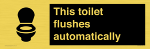 IV12128: This toilet flushes automatically