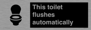 IV12128: This toilet flushes automatically