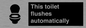 IV12128: This toilet flushes automatically