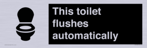 IV12128: This toilet flushes automatically