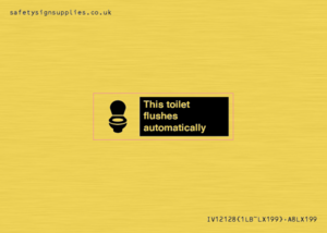 IV12128: This toilet flushes automatically