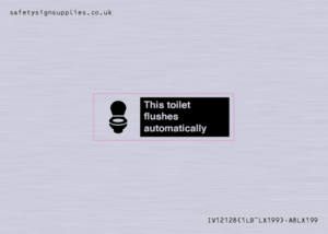 IV12128: This toilet flushes automatically