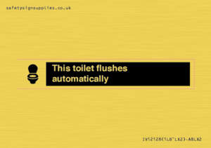 IV12128: This toilet flushes automatically