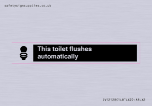 IV12128: This toilet flushes automatically