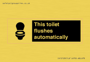 IV12128: This toilet flushes automatically