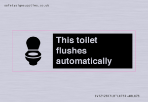 IV12128: This toilet flushes automatically