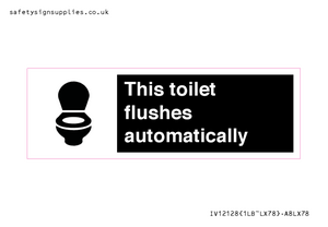 IV12128: This toilet flushes automatically