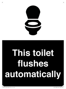 IV12128: This toilet flushes automatically