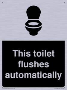 IV12128: This toilet flushes automatically