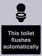 IV12128: This toilet flushes automatically