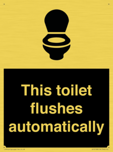 IV12128: This toilet flushes automatically