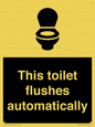IV12128: This toilet flushes automatically