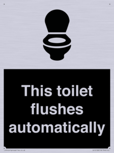 IV12128: This toilet flushes automatically