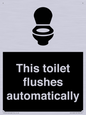 IV12128: This toilet flushes automatically