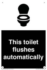 IV12128: This toilet flushes automatically