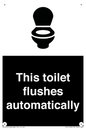 IV12128: This toilet flushes automatically